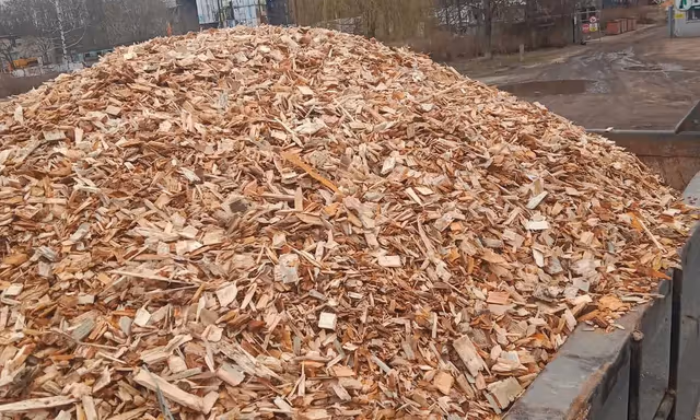 Древесная щепа